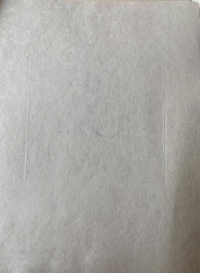 Hans BELLMER - Filles dans la rue, 1971 - Gravure signée au crayon sur papier Japon 2