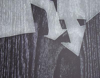 Franz EGGENSCHWILER - Donnerpfeile II., 1992 - Original woodcut hand-signed 2