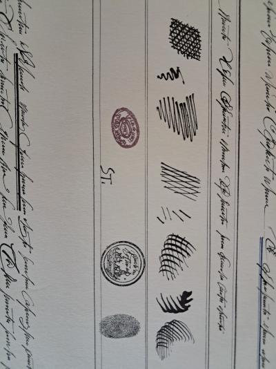 Saül STEINBERG - Louisiana 1968 - non firmata 2