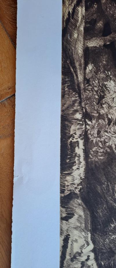 Gérard Diaz - Fuite en Egypte, 1984 - Gravure originale signée 2