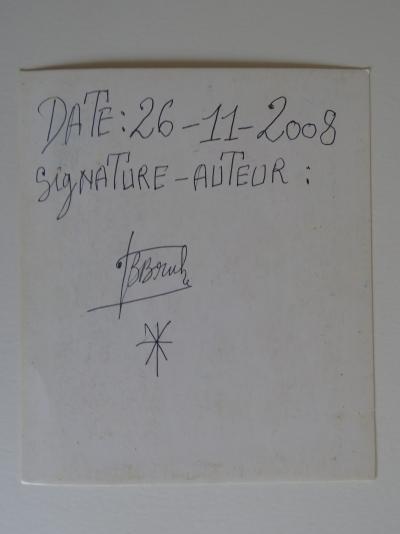 Frédéric Bruly Bouabré - Drawing, 2008 - Ink and colour pencils 2