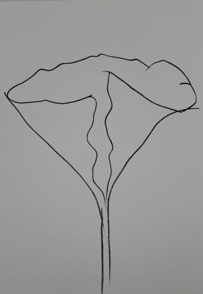 Ellsworth Kelly - Le Lotus - Lithographie originale 2