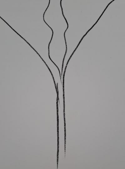 Ellsworth Kelly - Le Lotus - Lithographie originale 2