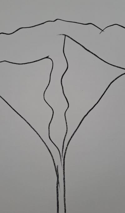 Ellsworth Kelly - Le Lotus - Lithographie originale 2