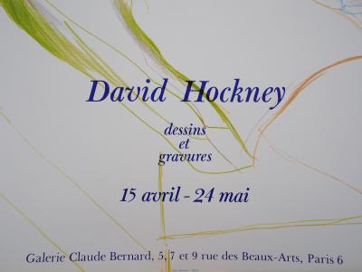 David HOCKNEY : Portrait de jeune homme - Affiche originale en couleurs 2