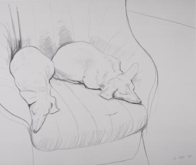 David HOCKNEY : Stanley and Boodge - Affiche originale vintage 2