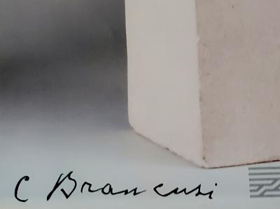 Brancusi, affiche originale Centre Pompidou, 1995 2