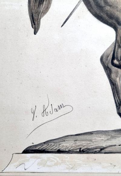 Victor Adam, Le Duc‑d’Orléans, dessin couleurs, vers 1844 2
