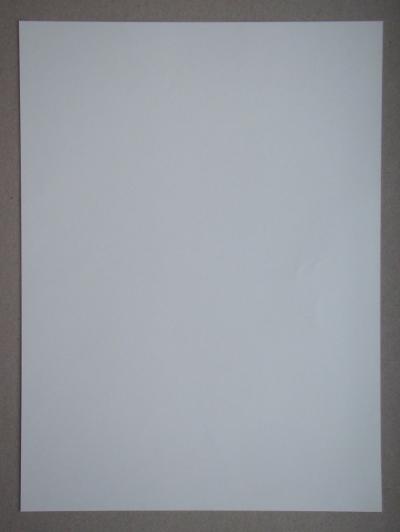 Gustav KLIMT (after) - Erotic drawing , 1979 - Offset lithography 2