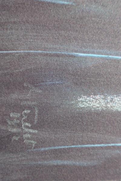 André VERDET : Le perroquet en noir, Lithographie originale signée 2