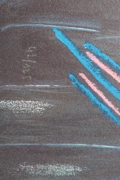 André VERDET : Le perroquet en noir, Lithographie originale signée 2
