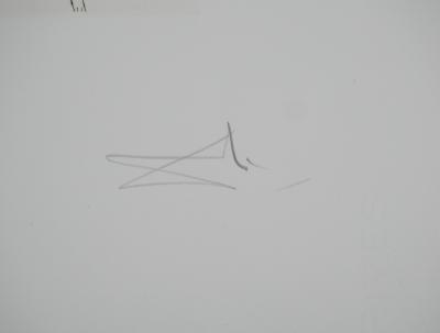 Salvador Dali  - Shakespeare : Henry V, 1971 - Gravure originale signée 2