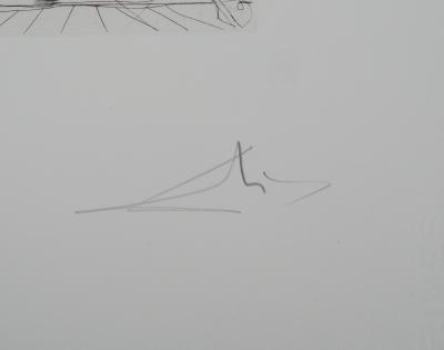 Salvador Dali  - Shakespeare : Tout est bien qui finit bien, 1971 - Gravure originale signée 2