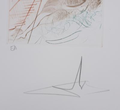 Salvador Dali  - Décaméron : L’ange Gabriel, 1972 - Gravure originale signée 2