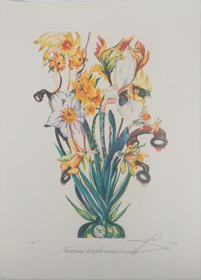 Salvador Dali  - Narcisse : Fleur surréaliste aux téléphones, 1972 - Lithographie originale signée