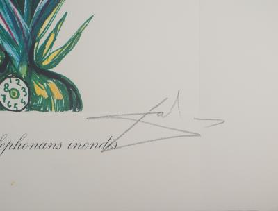 Salvador Dali - Narcissus: Surrealist Flower with Telephones, 1972 - Original signed lithograph 2