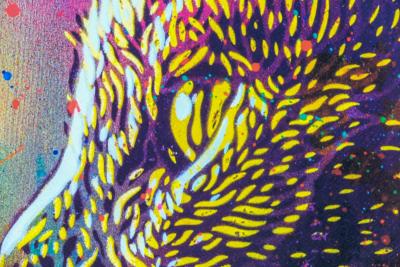 C215 : Felix multicolore - Digigraphie originale signée 2