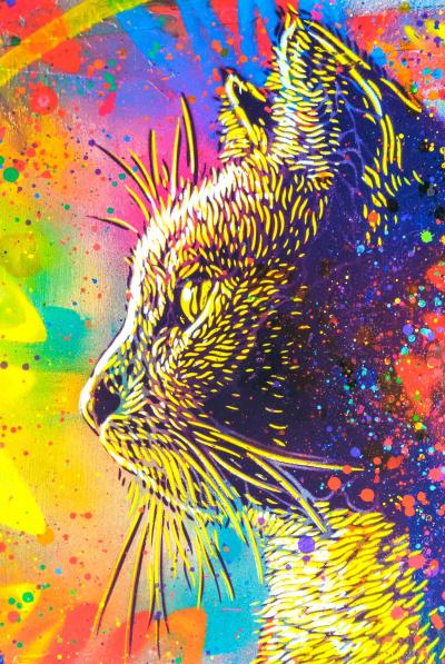 C215 : Felix multicolore - Digigraphie originale signée 2