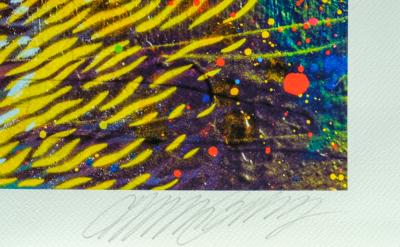 C215 : Felix multicolore - Digigraphie originale signée 2