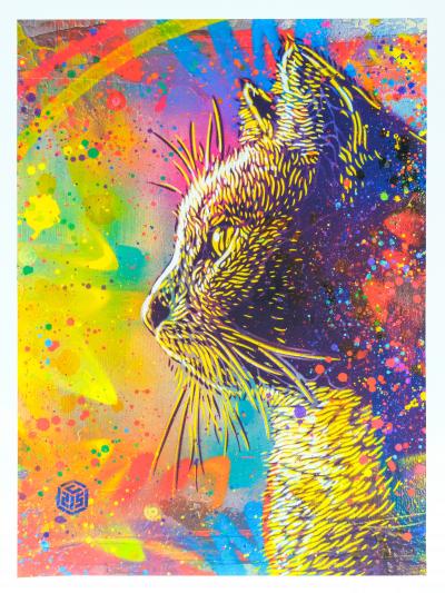 C215 : Felix multicolore - Digigraphie originale signée 2