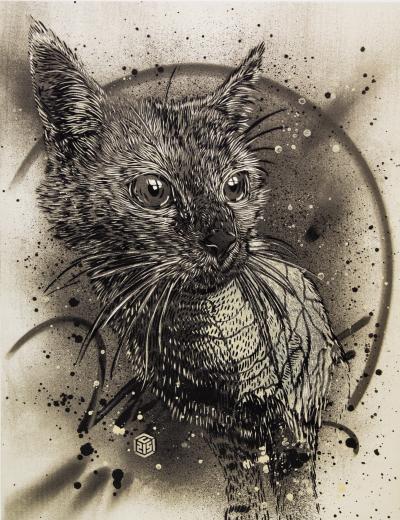 C215 : Chaton gris - Lithographie originale signée 2