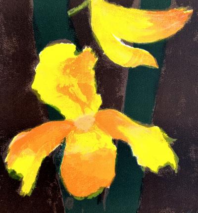 Cathelin - Les orchidées - Lithographie originale signée crayon 2