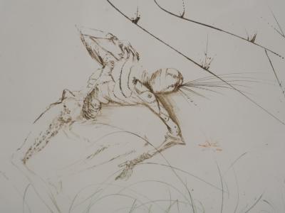 Salvador DALI - Tristan et Yseult, Vanité- Gravure originale signée 2