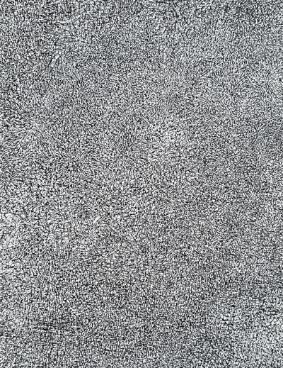 Jean Dubuffet - Prairie de barbe 1960 - Sérigraphie 2