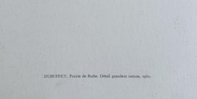 Jean Dubuffet - Prairie de barbe 1960 - Sérigraphie 2