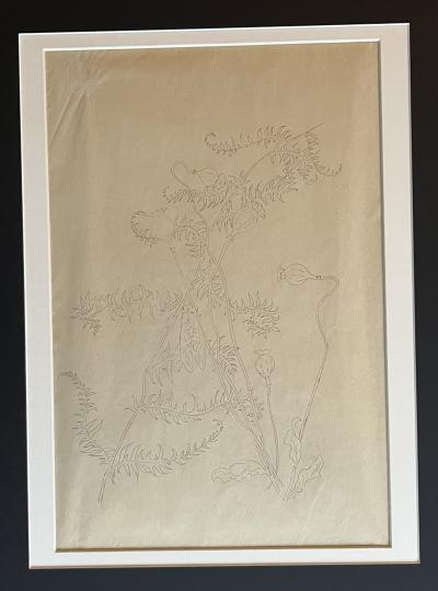 Emile GALLÉ - dessin original - Art Nouveau 2