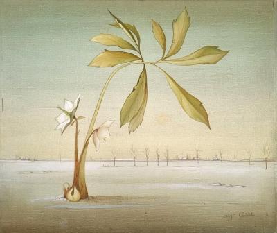 Serge Carré, Rose de Noël en pied, huile sur toile, 1978