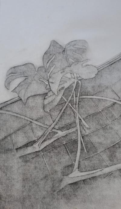 Ecole du XXéme siècle - Les branches sur le sol - Lithographie originale, signée et numérotée 2