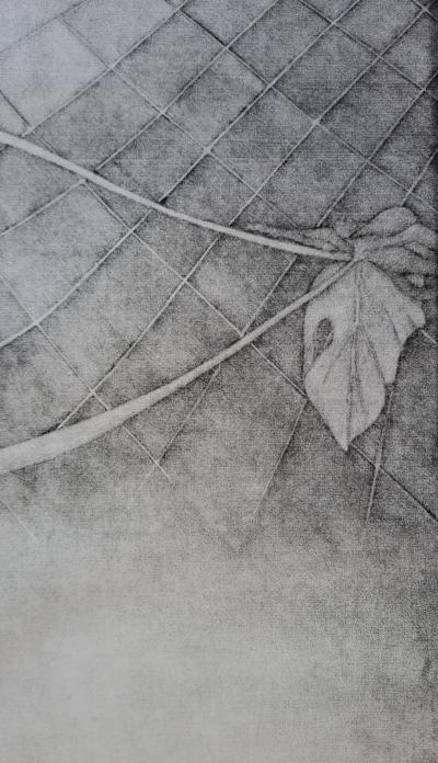 Ecole du XXéme siècle - Les branches sur le sol - Lithographie originale, signée et numérotée 2