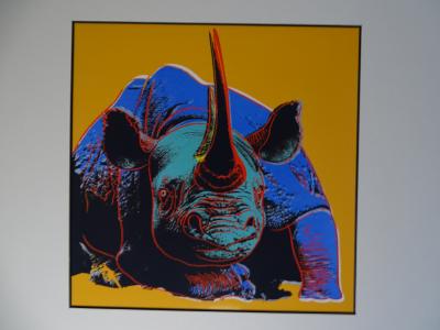 Andy Warhol - Rhinocéros noir, extrait de la série Espèces menacées 1987, sérigraphie