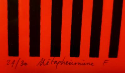 Mircea Milcovitch, Métaphénomène F, sérigraphie signée, 1971 2