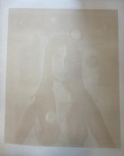 Maxime VAN DE WOESTYNE, 