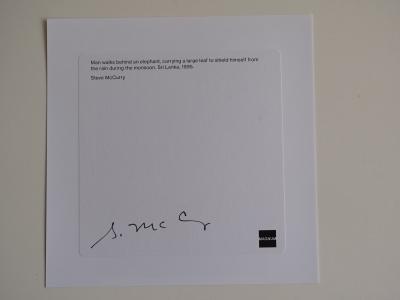 Steve McCurry - Elephant 1995- Signed 2