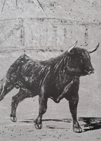 Jacques Birr - El torinus furor - Lithographie originale 2