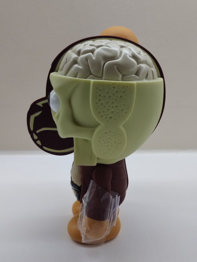 KAWS - KAWS BAPE figurine en vinyle Baby Milo disséquée marron 2011 2