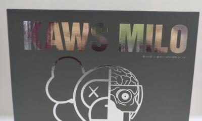 KAWS - KAWS BAPE figurine en vinyle Baby Milo disséquée White 2011 2