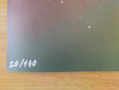 Bordalo II - Sensitive Content, 2025 2