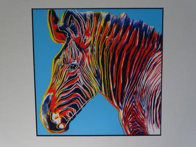 Andy Warhol - Grevy’s Zebra, from Endangered Species -  1987, serigrahy 2