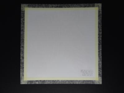 Andy Warhol - Grevy’s Zebra, from Endangered Species -  1987, serigrahy 2