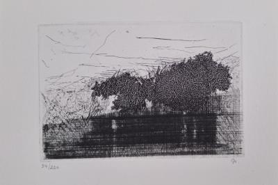 Lise Lierhammer - Paysage, 1988 - Burin et pointe sèche 2