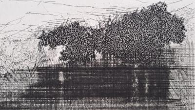 Lise Lierhammer - Paysage, 1988 - Burin et pointe sèche 2