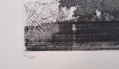 Lise Lierhammer - Paysage, 1988 - Burin et pointe sèche 2