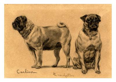 Eugène van Gelder (D’après) - 