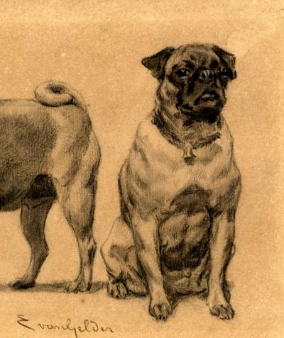 Eugène van Gelder (D’après) - 