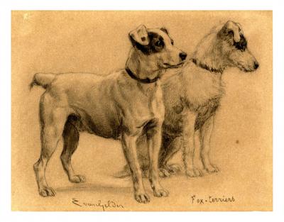 Eugène van Gelder (D’après) - 