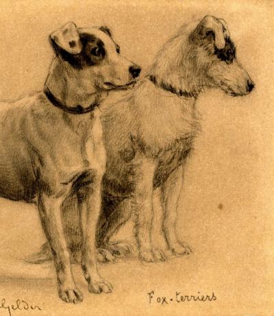 Eugène van Gelder (D’après) - 